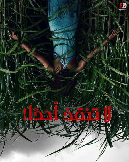 مشاهدة شاهد فيلم In the Tall Grass 2019 مترجم