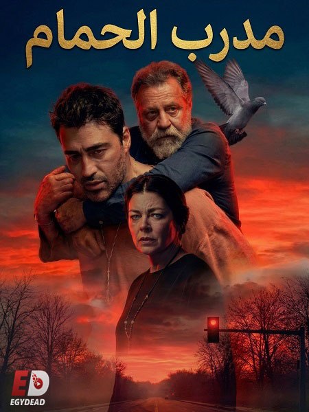 الشاهد فيلم التركي مدرب الحمام 2026 مدبلج