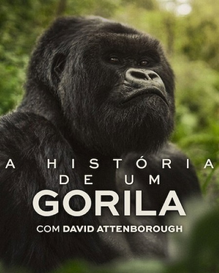 مشاهدة شاهد فيلم A Gorilla Story Told by David Attenborough 2026 مترجم